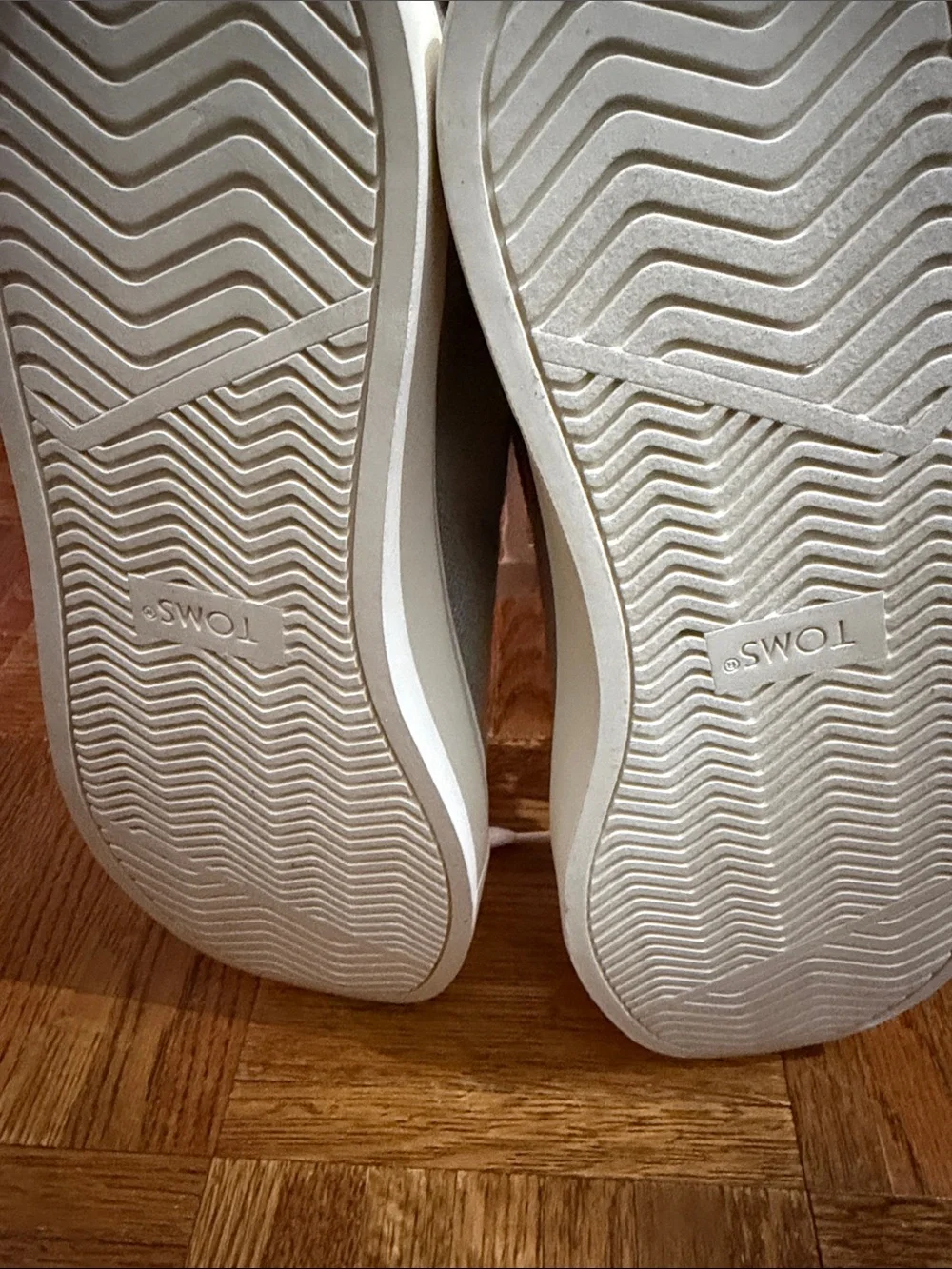 TOMS Light Gray Canvas Sneakers with Cream Laces